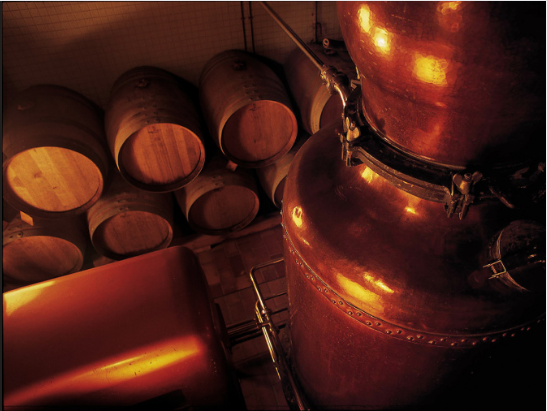 1660815221320567.png 0009.png